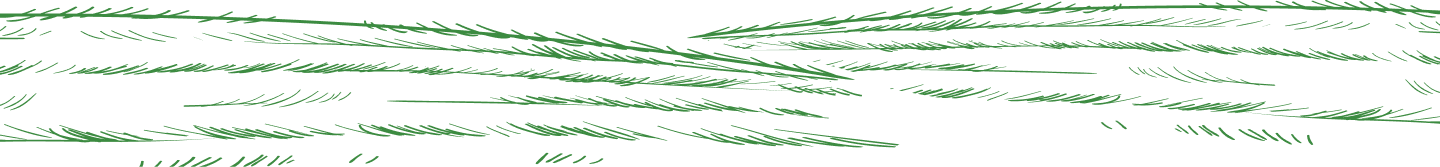 field divider